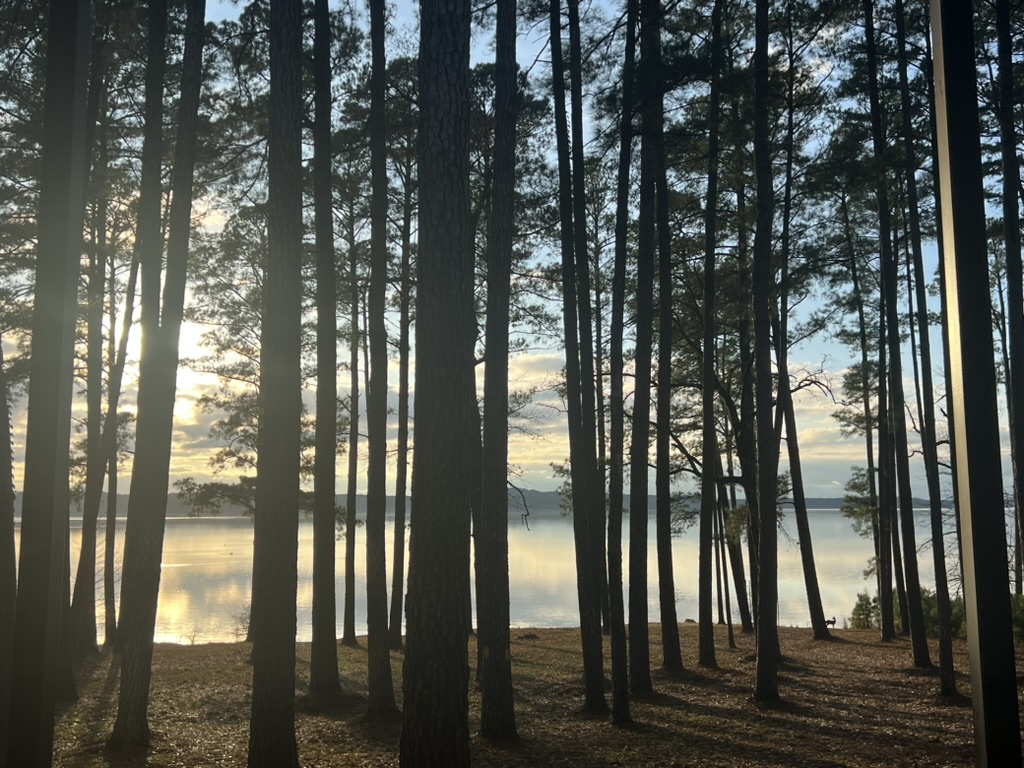 A Softer Way to Step Into Your Next Season